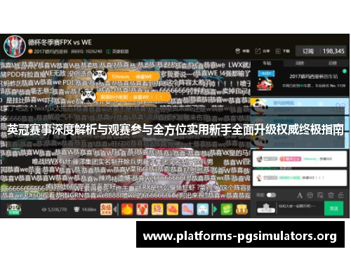 英冠赛事深度解析与观赛参与全方位实用新手全面升级权威终极指南
